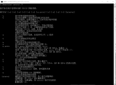 美國服務(wù)器Netstat命令的使用