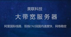 美國(guó)服務(wù)器內(nèi)存類(lèi)型介紹
