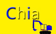 為何說(shuō)硬盤空間就是Chia的計(jì)算力-服務(wù)器配置